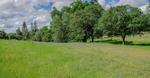 2640 Hoboken Creek Rd, Greenwood, CA 95635 Photo