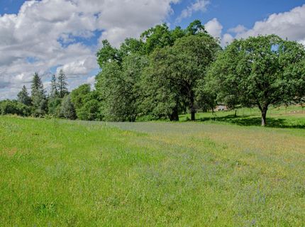 2640 Hoboken Creek Rd, Greenwood, CA 95635 Photo
