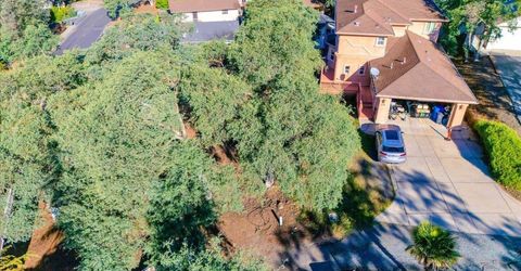 564 Dolores Way, Copperopolis, CA 95228 Photo