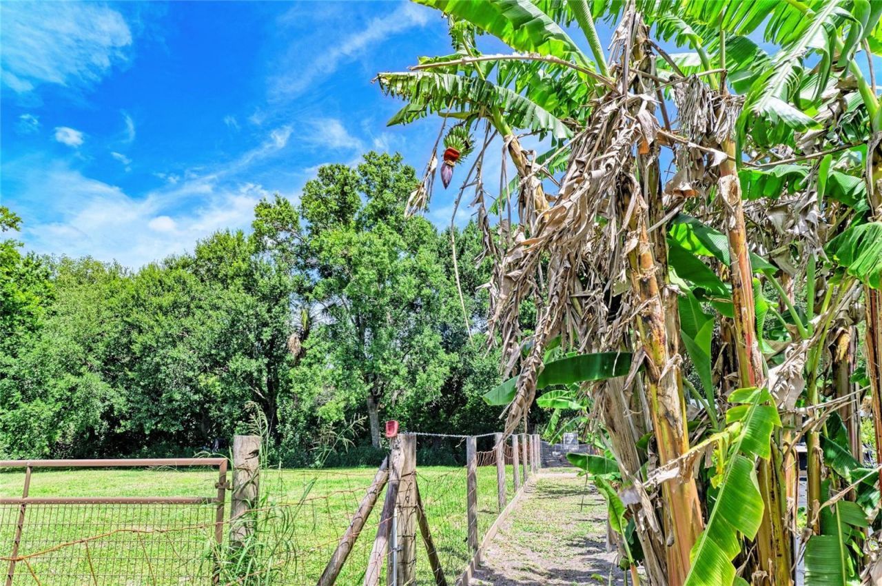 12010 69th Street E, Parrish, FL 34219 Photo