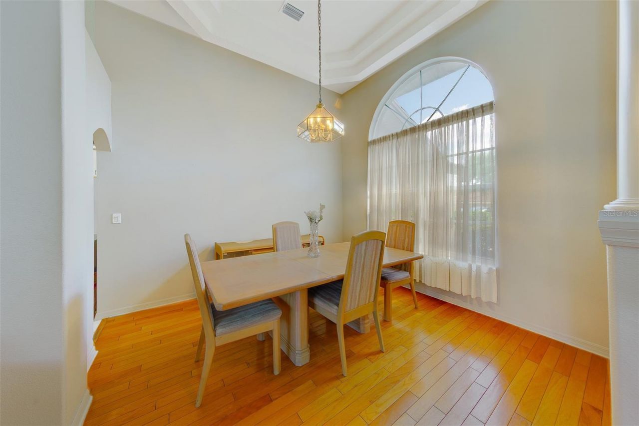 3909 Talah Drive, Palm Harbor, FL 34684 Photo