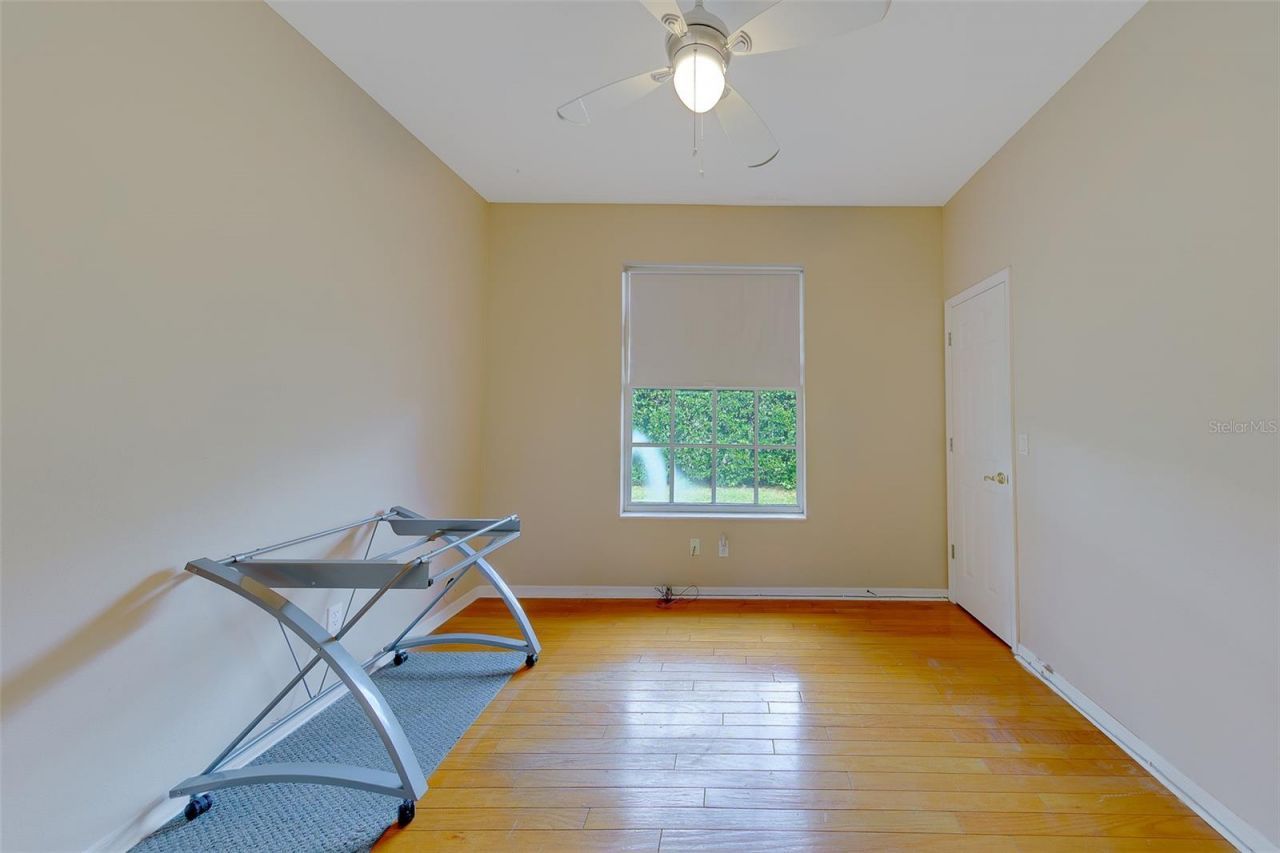 3909 Talah Drive, Palm Harbor, FL 34684 Photo