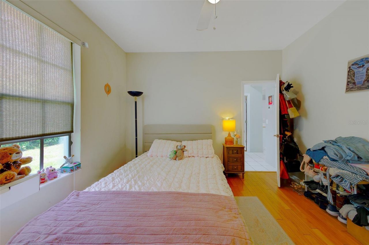 3909 Talah Drive, Palm Harbor, FL 34684 Photo