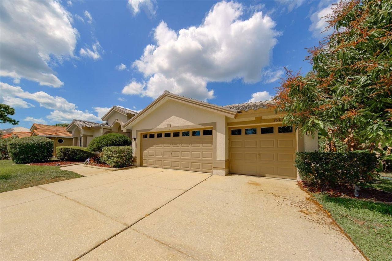 3909 Talah Drive, Palm Harbor, FL 34684 Photo