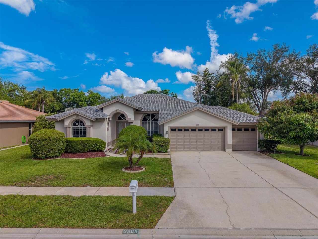 3909 Talah Drive, Palm Harbor, FL 34684 Photo