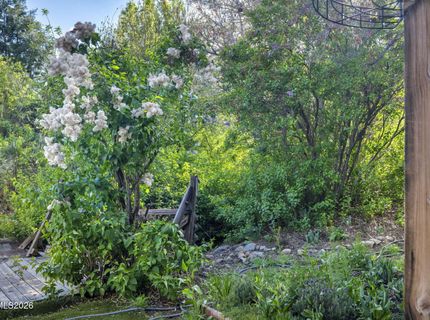 1015 Us Highway 395, Washoe Valley, NV 89704 Photo