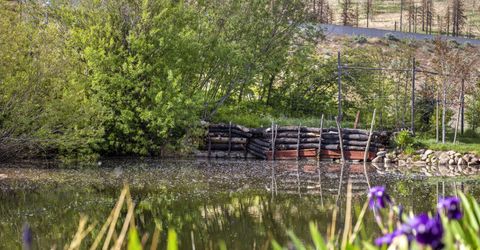 1015 Us Highway 395, Washoe Valley, NV 89704 Photo