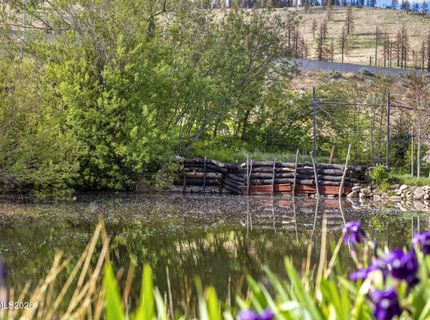 1015 Us Highway 395, Washoe Valley, NV 89704 Photo