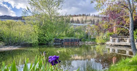 1015 Us Highway 395, Washoe Valley, NV 89704 Photo