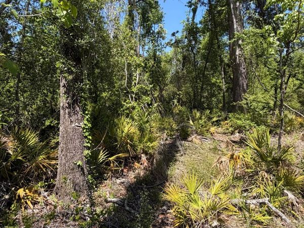 SW 74TH WAY, Jasper, FL 32052