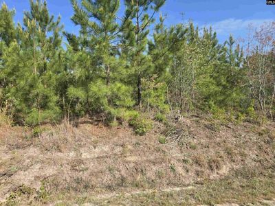 952 MT Zion Road, Camden, SC 29020