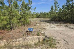 952 Mt Zion Road photo 4