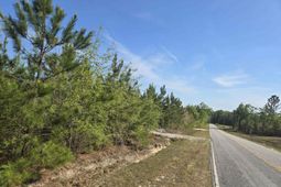 952 Mt Zion Road photo 4