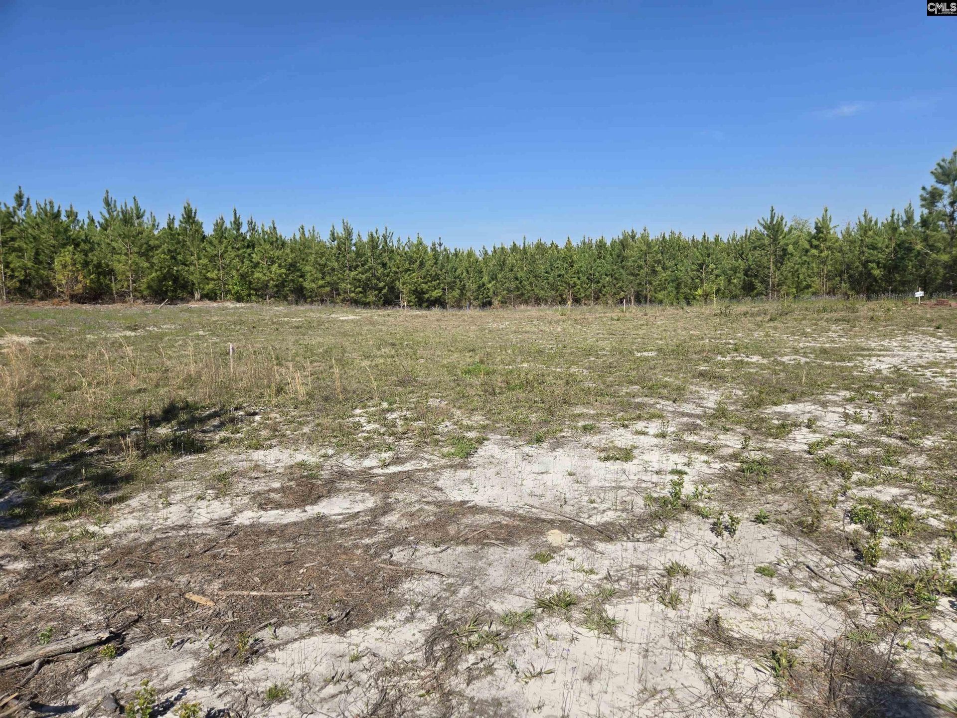 952 Mt Zion Road Photo 4