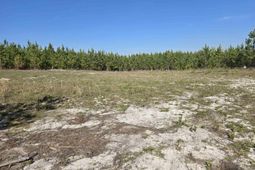 952 Mt Zion Road photo 4