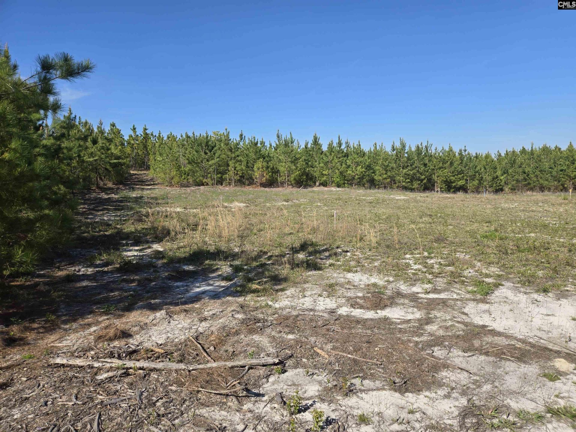 952 Mt Zion Road Photo 5