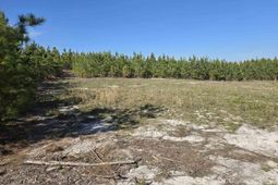 952 Mt Zion Road photo 4