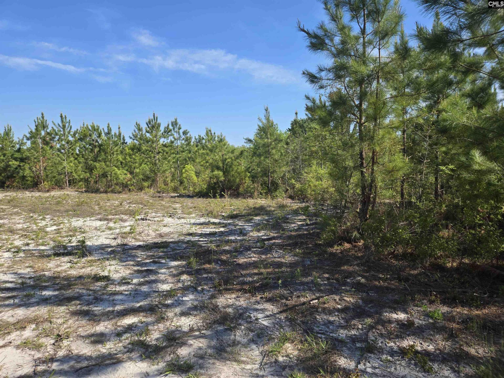 952 Mt Zion Road Photo 6