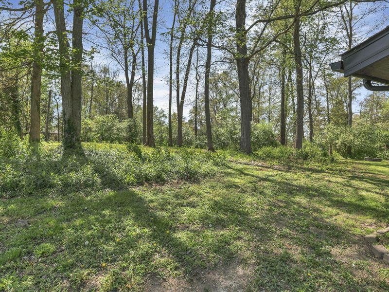 1297 Bristol Court, Circleville, OH 43113 Photo 32