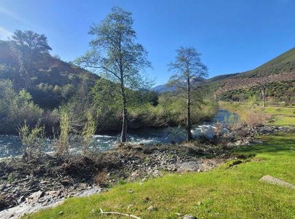 13905 Trinity Mountain Rd #53, Shasta, CA 96033 Photo