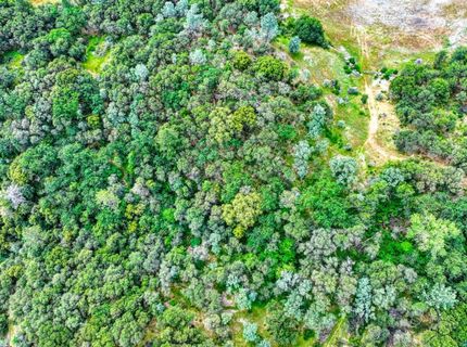 Fern Pl, Auburn, CA 95603 Photo