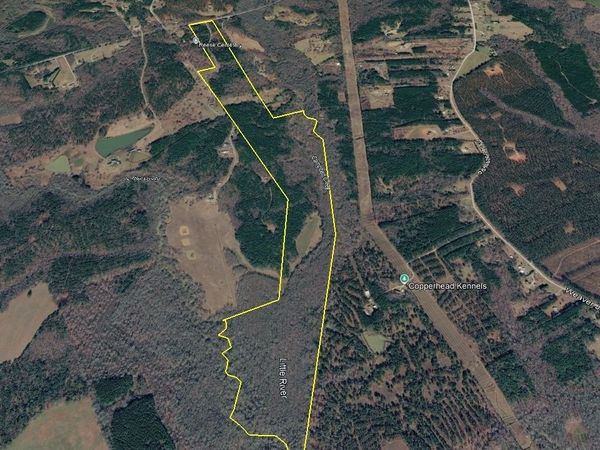 2230 Reese Road, Unit TRACT C, Rutledge, GA 30663