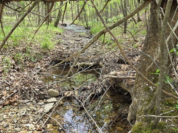 828 McCord Hollow Rd , Hohenwald, TN 38462