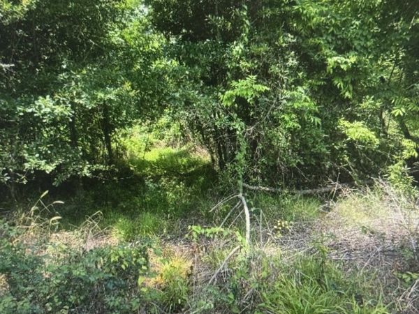 LOT-139 Amite River Rd, Baton Rouge, LA 70817