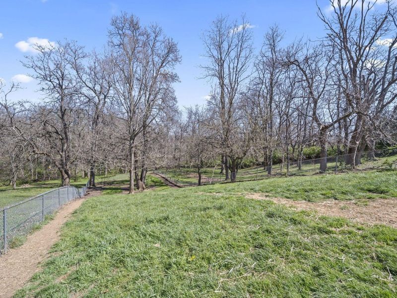 3930 Marion Johnson Road , Albany, OH 45710 Photo 54