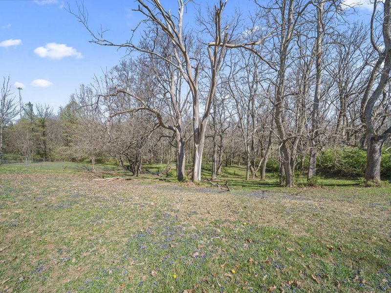 3930 Marion Johnson Road , Albany, OH 45710 Photo 56