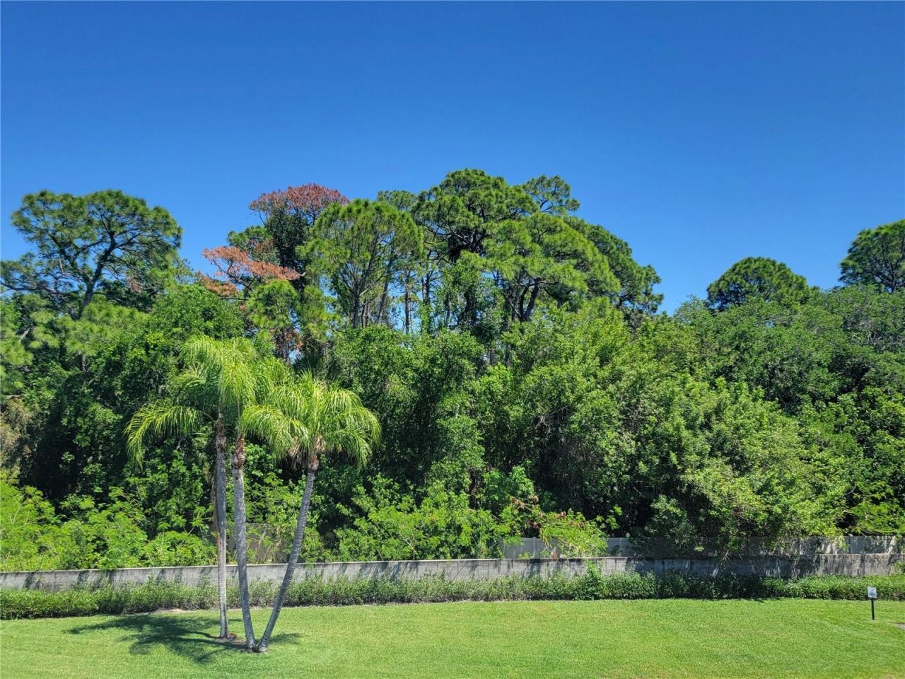 4720 Locust Street Ne, Unit 219, Saint Petersburg, FL 33703 Photo