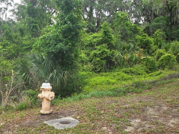 2392 N HERITAGE OAKS PATH , HERNANDO, FL 34442