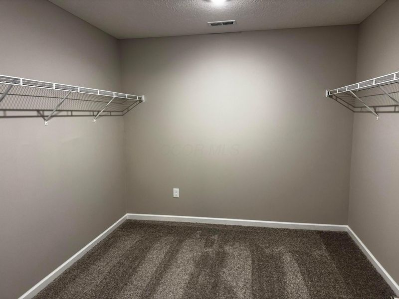 1165 Solitary Street, Unit Lot 2928, Galena, OH 43021 Photo 48