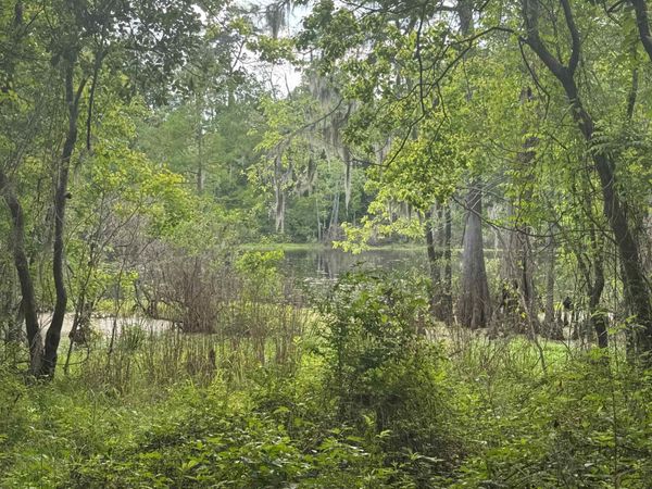 LOT-137 Amite River Rd, Baton Rouge, LA 70817