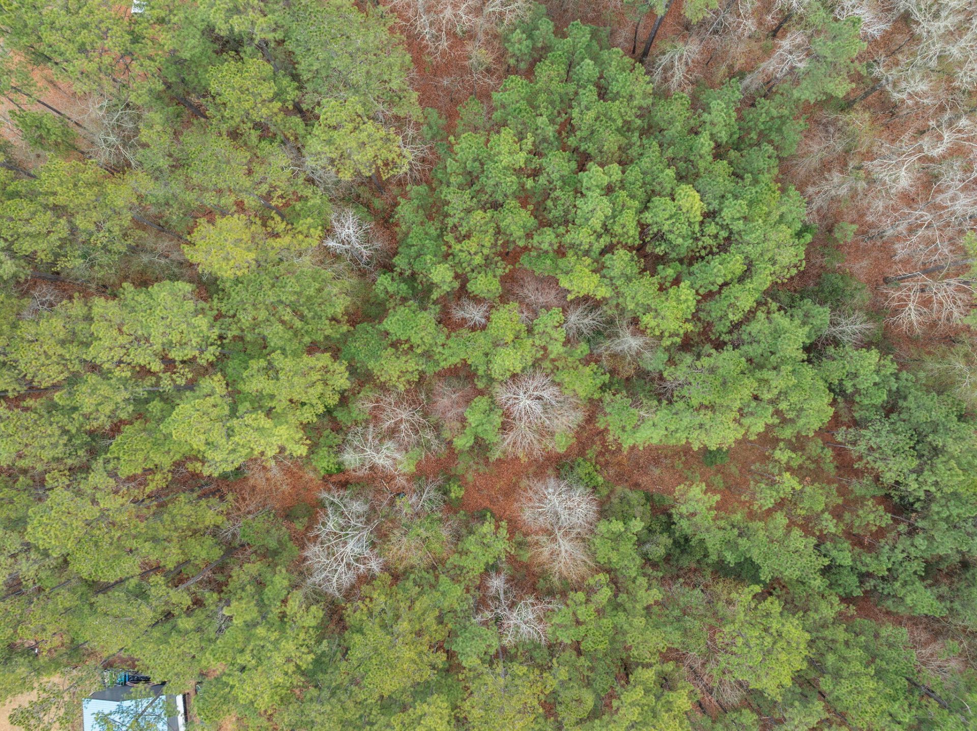 200 Yearling Drive Photo 13