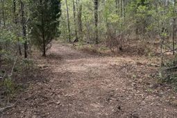 200 Yearling Drive photo 4