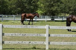 200 Yearling Drive photo 4