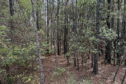 200 Yearling Drive photo 4