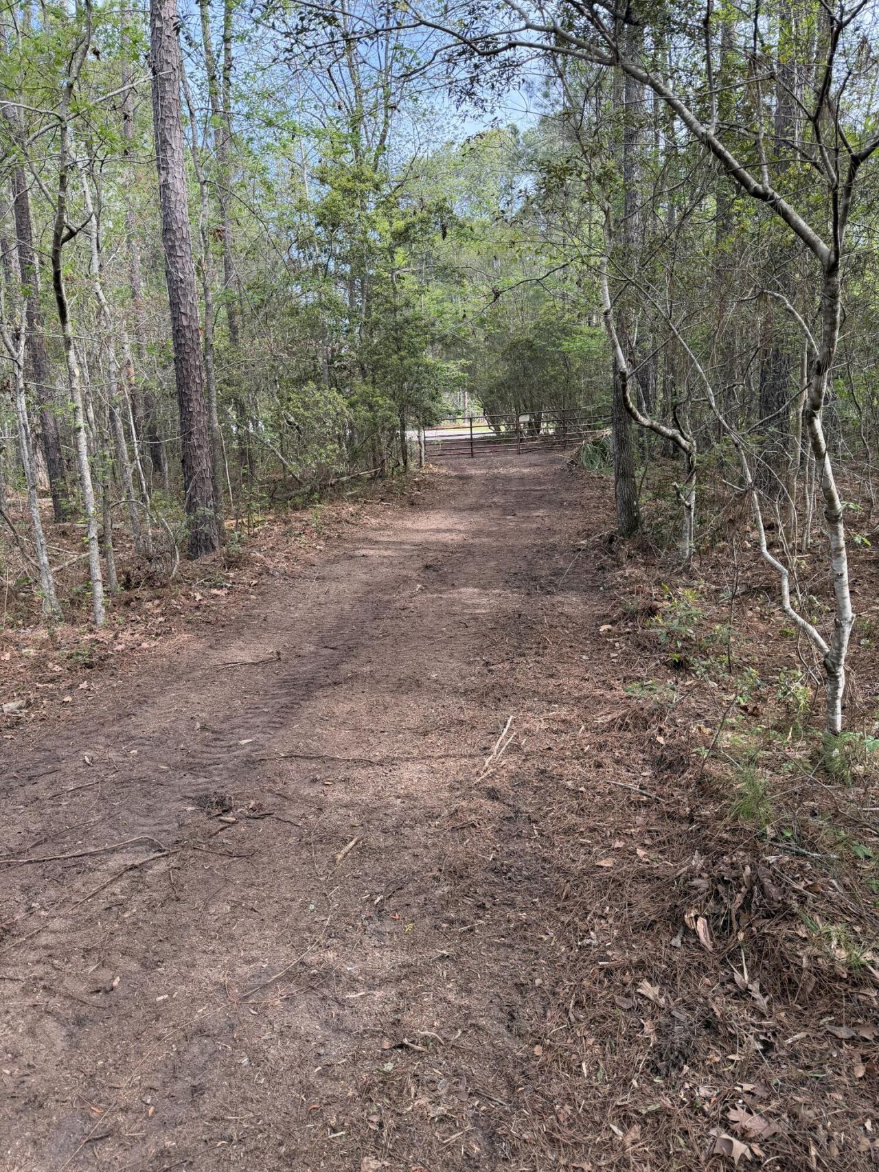 200 Yearling Drive Photo 4
