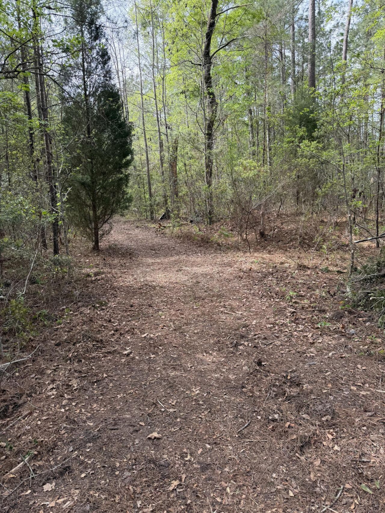 200 Yearling Drive Photo 5