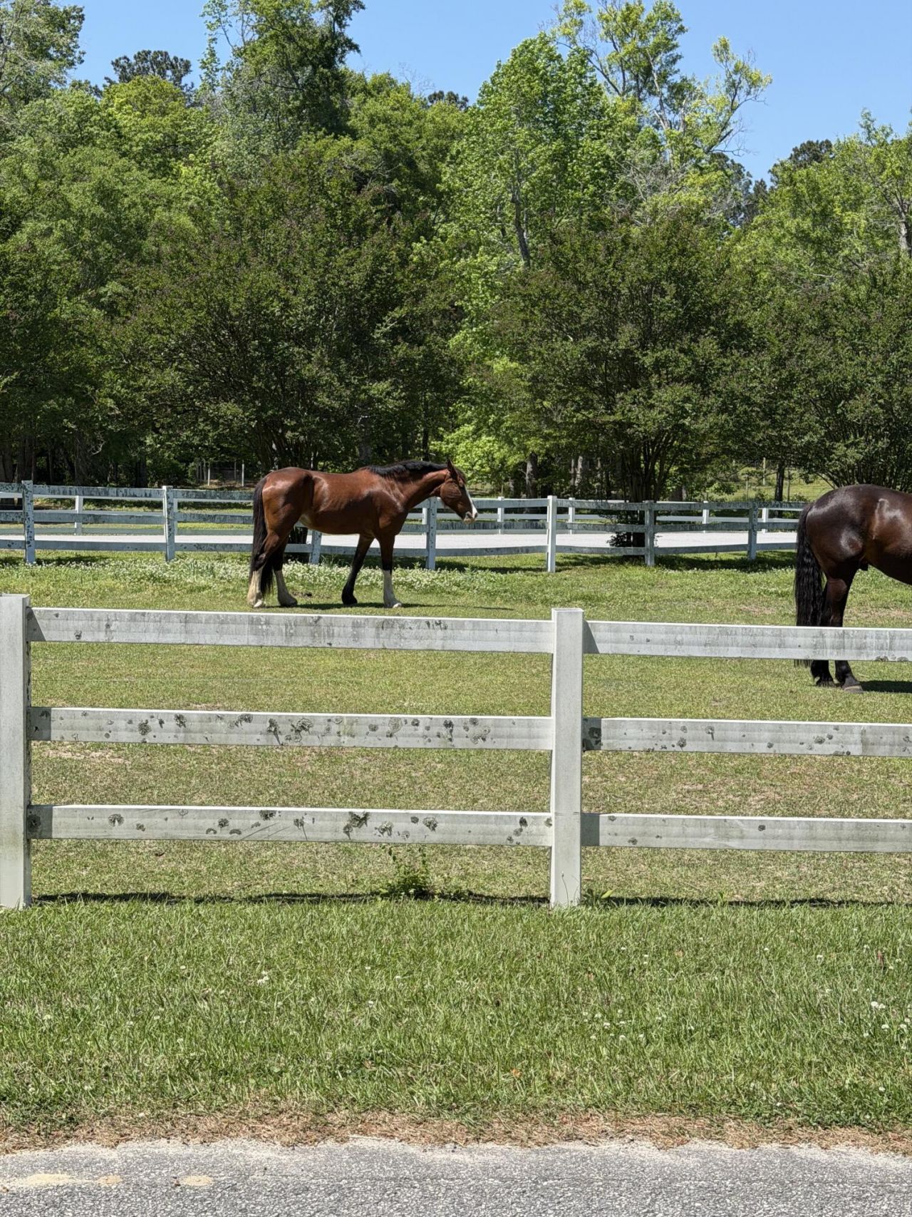 200 Yearling Drive Photo 6
