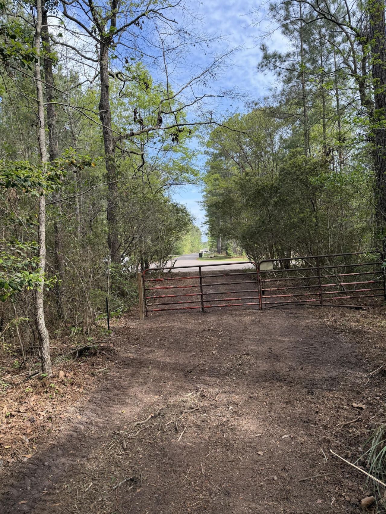 200 Yearling Drive Photo 8