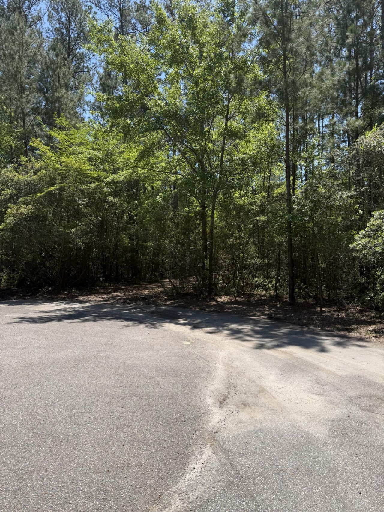 200 Yearling Drive Photo 9