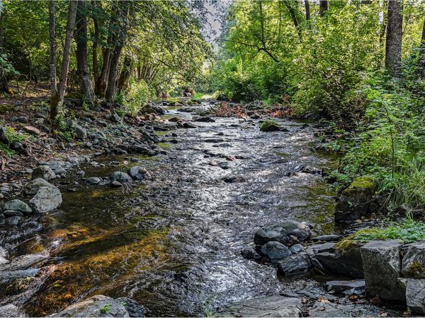 3950 Little Applegate Road, Jacksonville, OR 97530