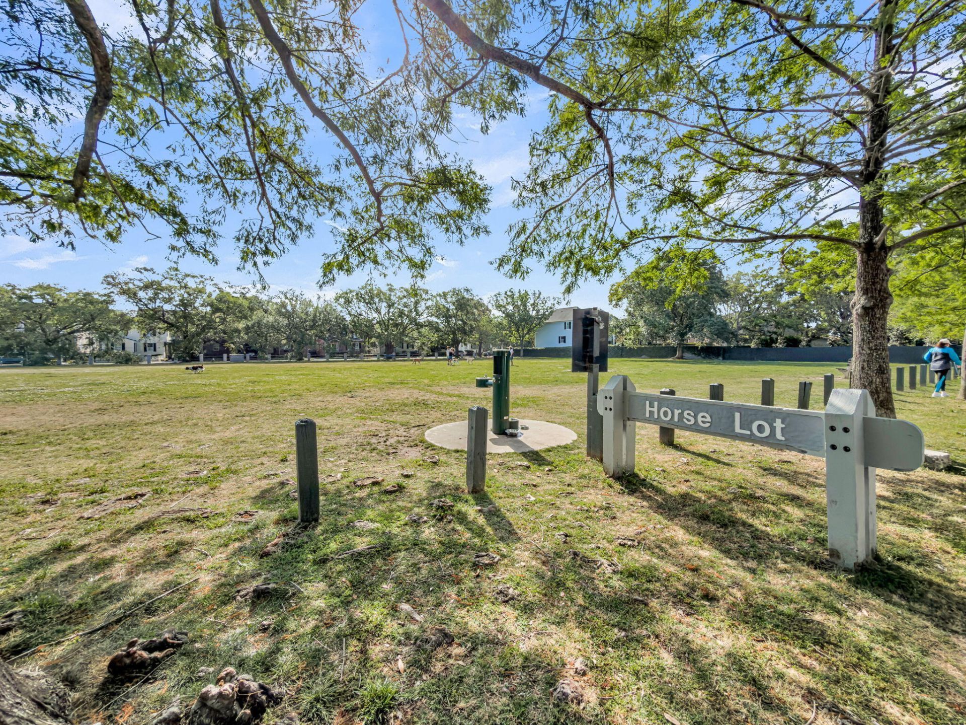 3 Chisolm Street Photo 68