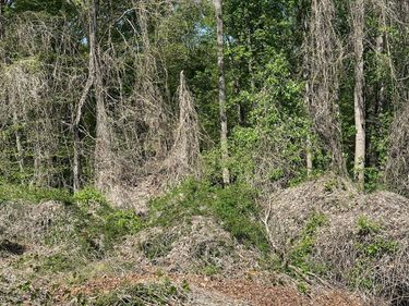 20 Deborah Drive, Lynchburg, VA 24502