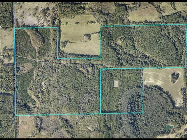 XXX Bear Bay Flats Road, Laurel Hill, FL 32567