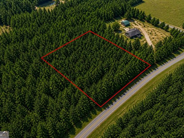 1.3 ACRES Walter Phillips Road, Hazlehurst, GA 31539