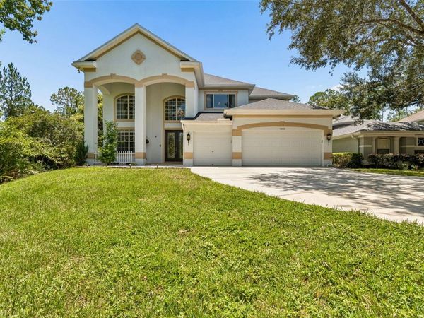 10102 DEERCLIFF DRIVE, TAMPA, FL 33647