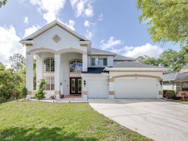 10102 DEERCLIFF DRIVE , TAMPA, FL 33647
